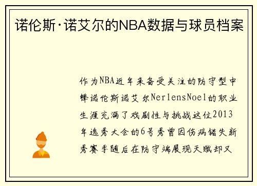 诺伦斯·诺艾尔的NBA数据与球员档案